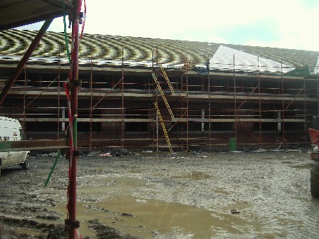 New School Site on January 2009